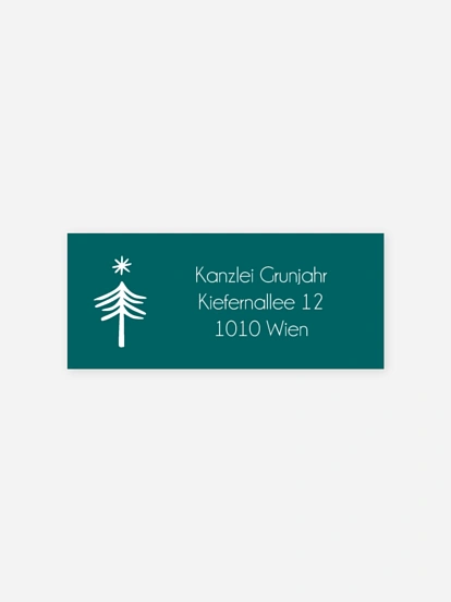 Absenderaufkleber geschäftl. Weihnachten Wishlist