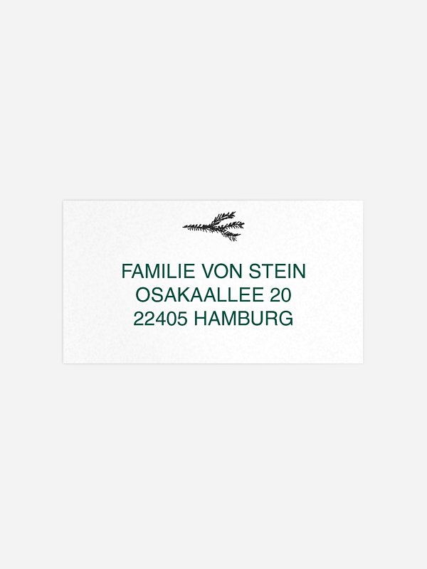 Weihnachtshirsch