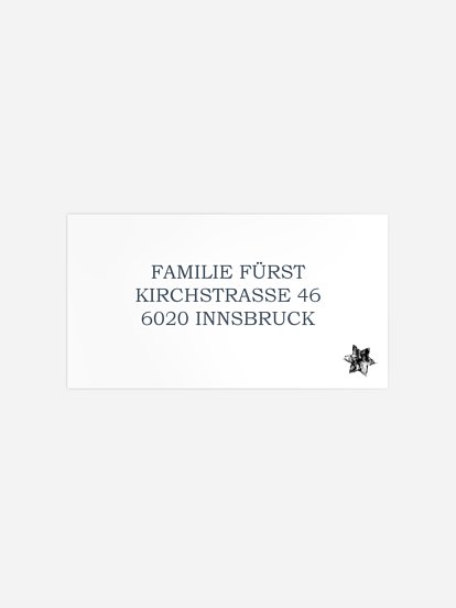 Empfängeraufkleber Weihnachten Pinguine