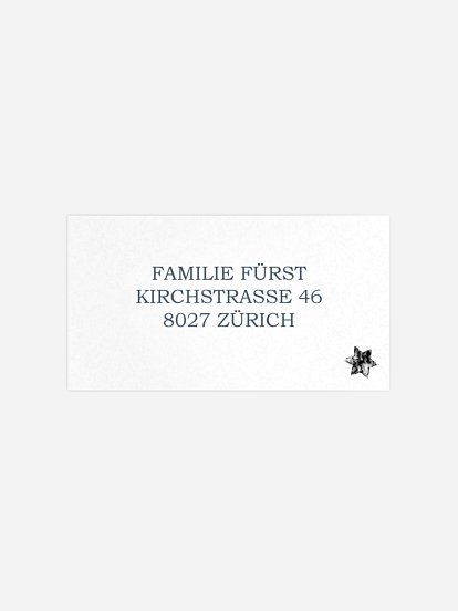 Empfängeraufkleber Weihnachten Pinguine