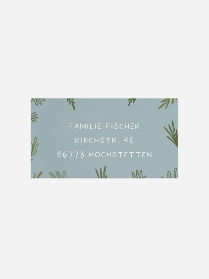 Empfängeraufkleber Geburtstag Dinoparty