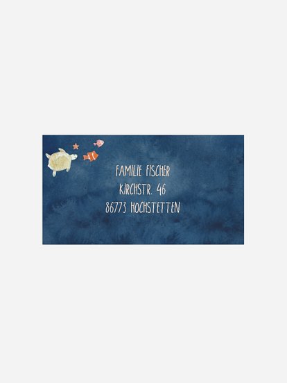 Empfängeraufkleber Geburtstag Mermaids and Pirates