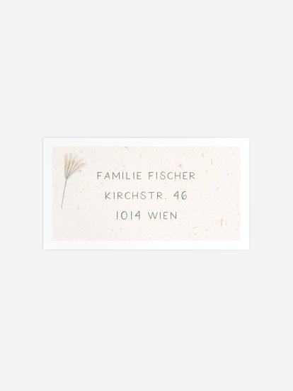 Empfängeraufkleber Geburt Kleiner Elefant