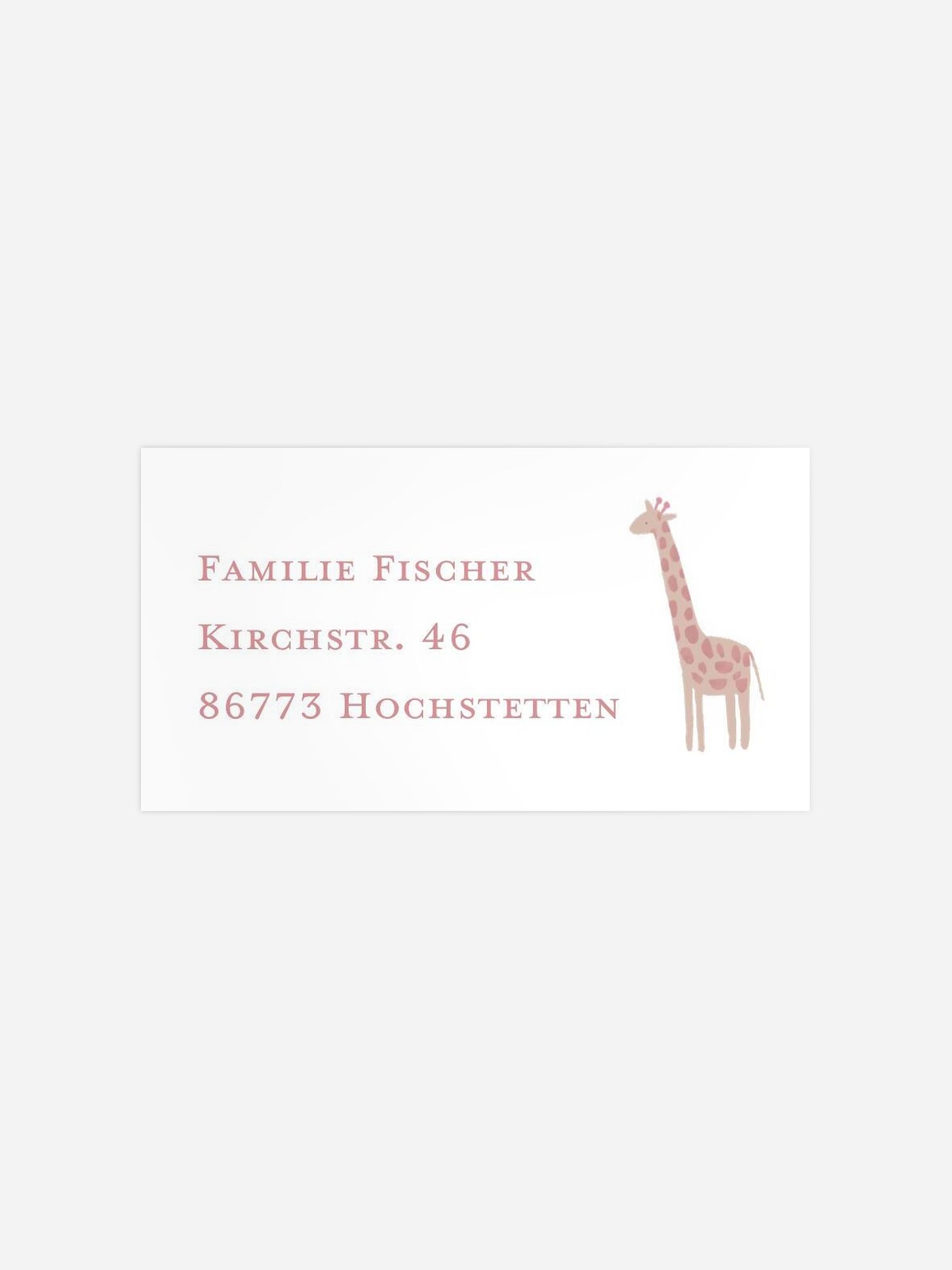 Empfängeraufkleber Geburtstag Dschungeltiere
