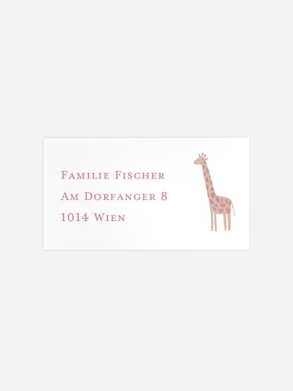 Empfängeraufkleber Geburtstag Dschungeltiere