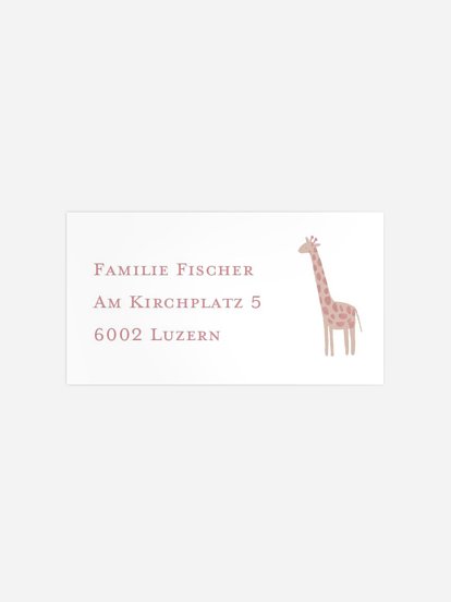 Empfängeraufkleber Geburtstag Dschungeltiere