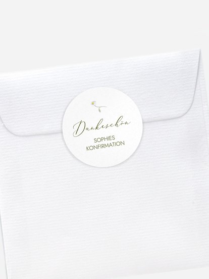 Gänseblümchen Gänseblümchen