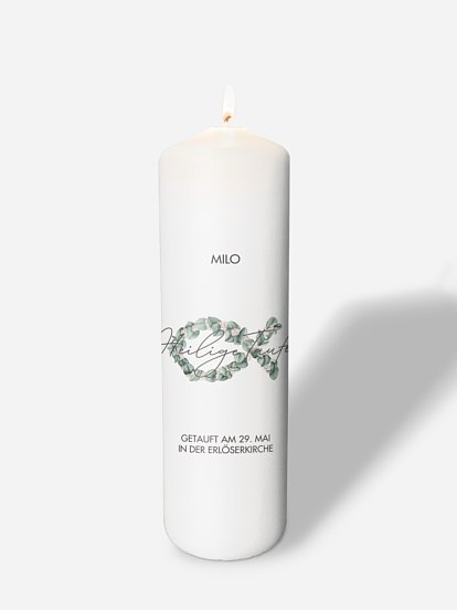 Eucalyptus Fish Eucalyptus Fish