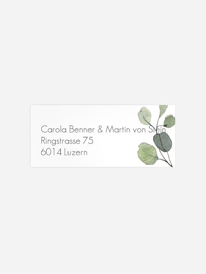 Absenderaufkleber Taufe Save the Date Eucalyptus