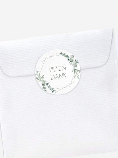 Eucalyptus Leaf Eucalyptus Leaf