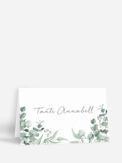 Eucalyptus Leaf Eucalyptus Leaf