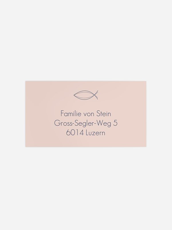 Modern Fish