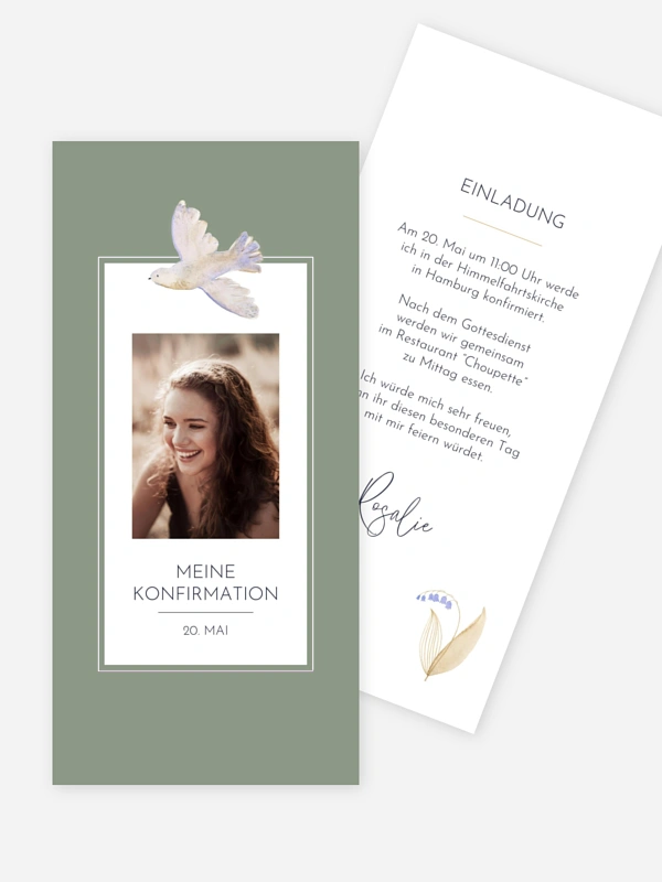 Classic Dove