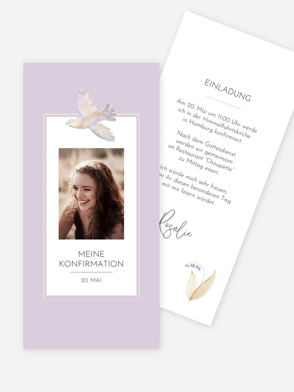 Classic Dove