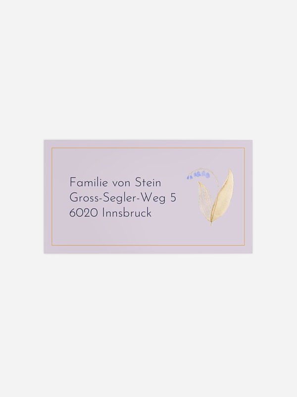 Classic Dove