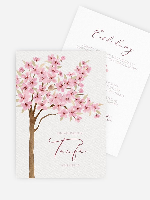 Cherry Blossom
