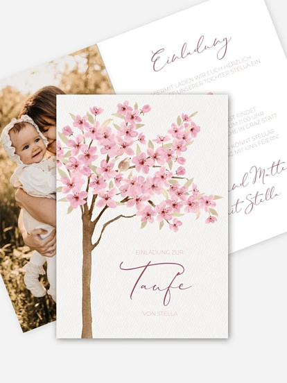 Cherry Blossom Cherry Blossom