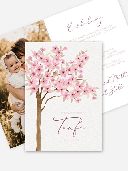 Cherry Blossom Cherry Blossom