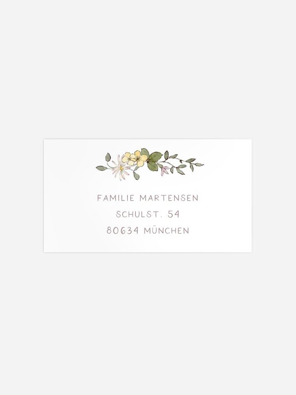Little Dove