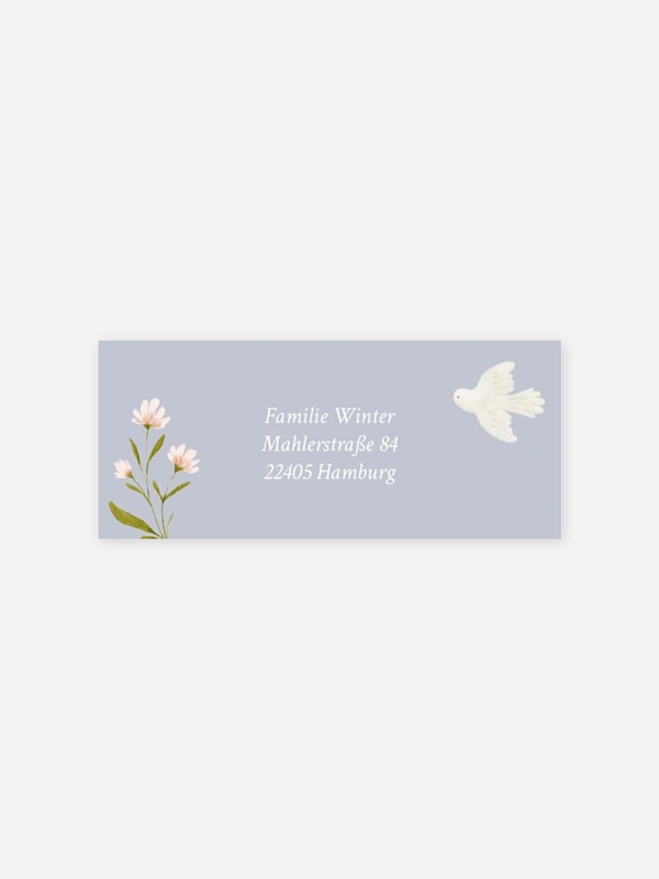 Blossom Dove