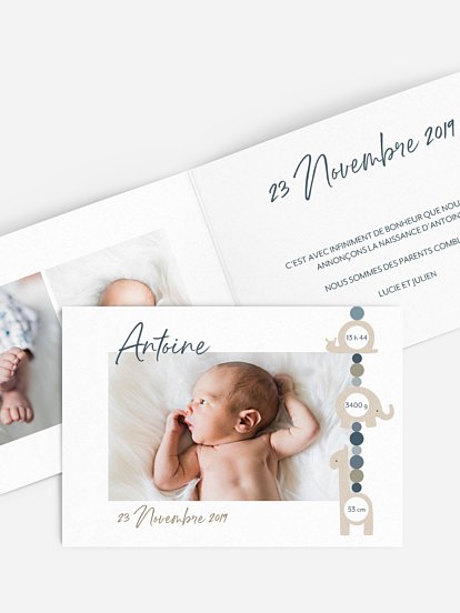 Faire-part naissance Attache-sucette