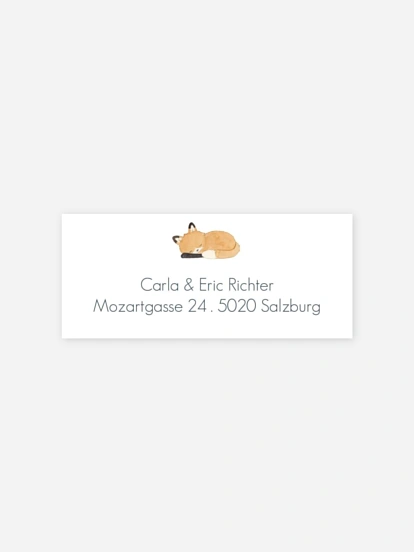 Absenderaufkleber Geburtstag Tierchen Trio