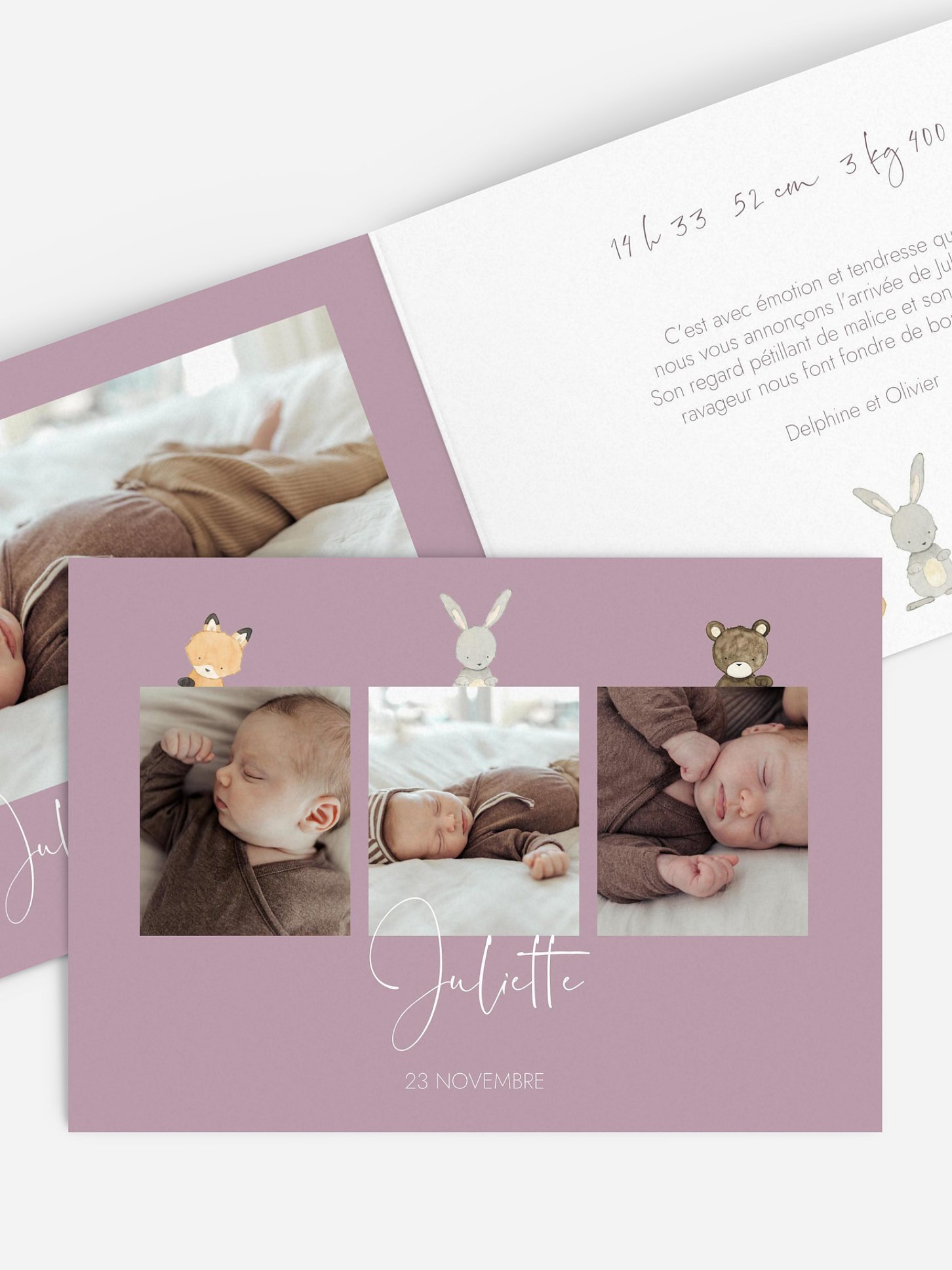 Faire-part naissance Trio animaux