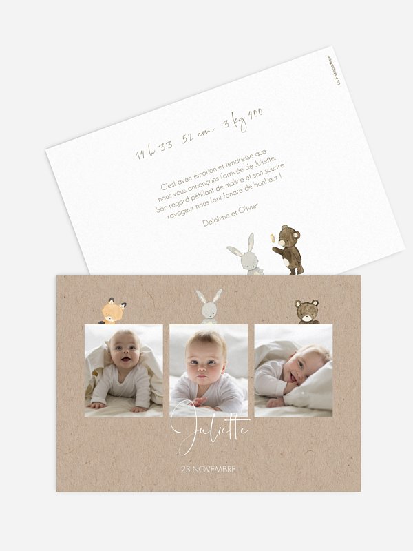 Faire-part naissance Trio animaux