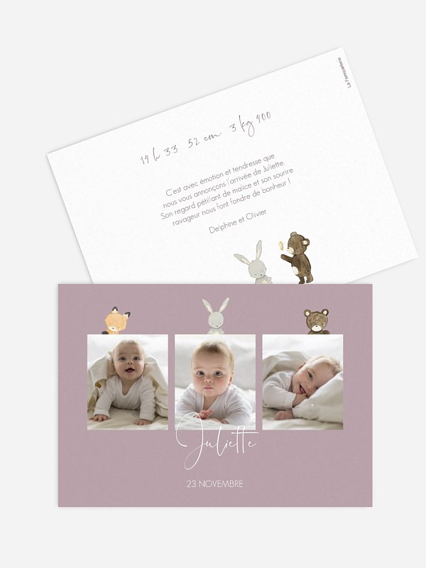 Faire-part naissance Trio animaux