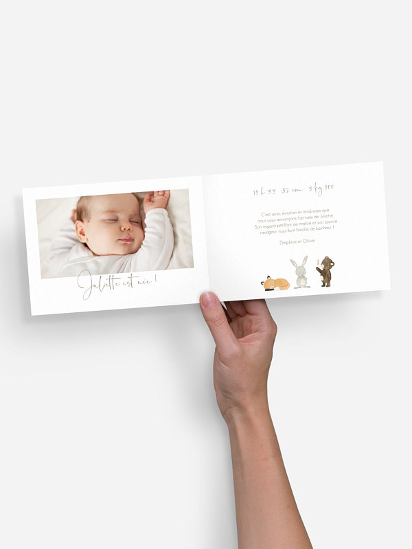 Faire-part naissance Trio animaux