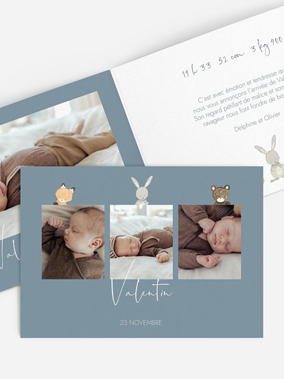 Faire-part naissance Trio animaux