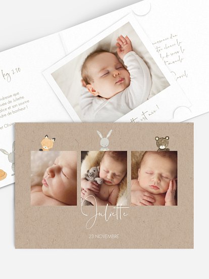 Faire-part naissance Trio animaux