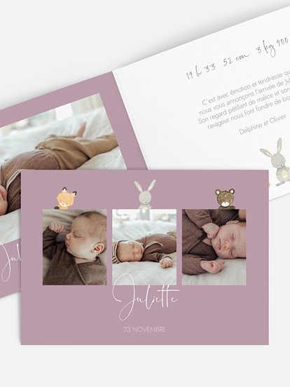 Faire-part naissance Trio animaux