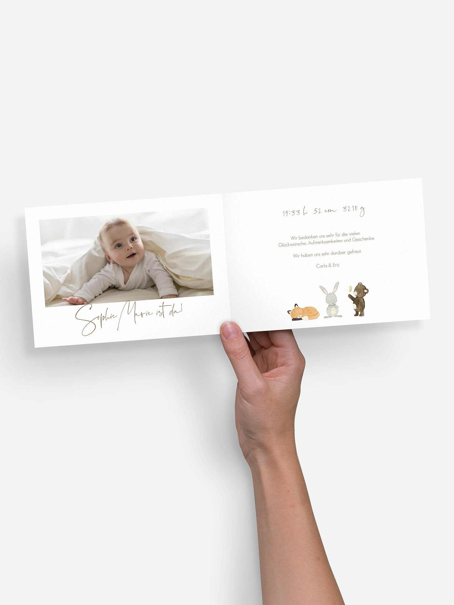 Geburtskarte Tierchen Trio