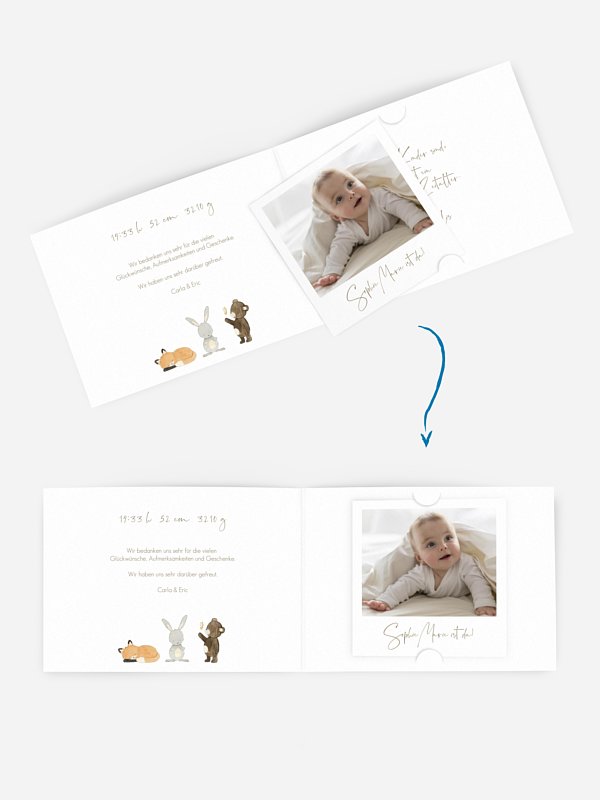 Geburtskarte Tierchen Trio