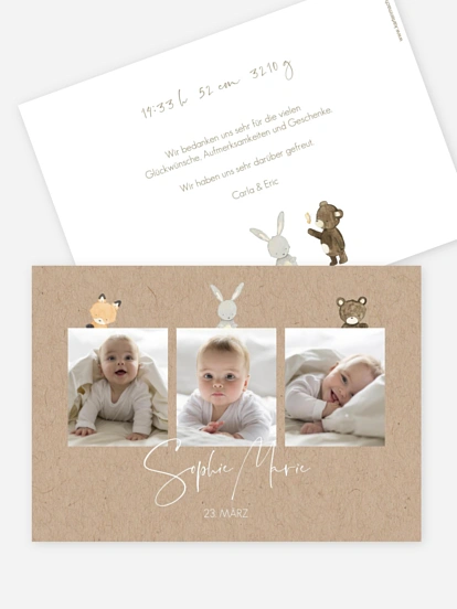Geburtskarte Tierchen Trio