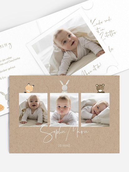 Geburtskarte Tierchen Trio