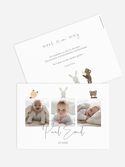 Geburtskarte Tierchen Trio