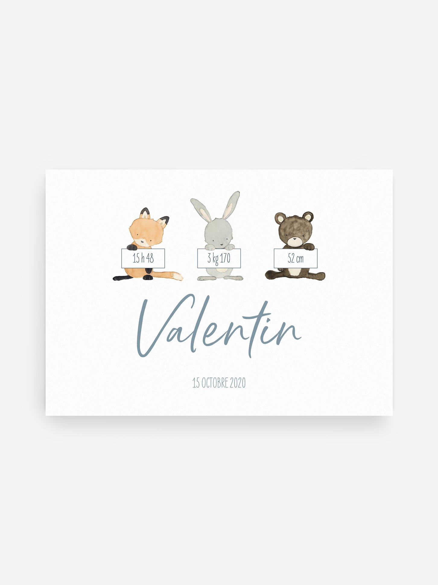 Affiche naissance Trio animaux