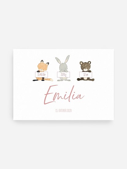 Tierchen Trio Tierchen Trio