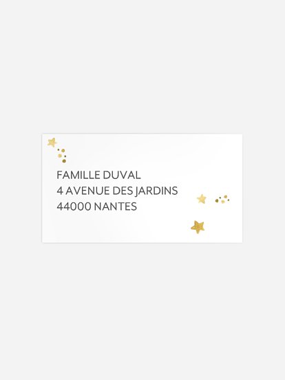 Étiquette destinataire naissance Little sky