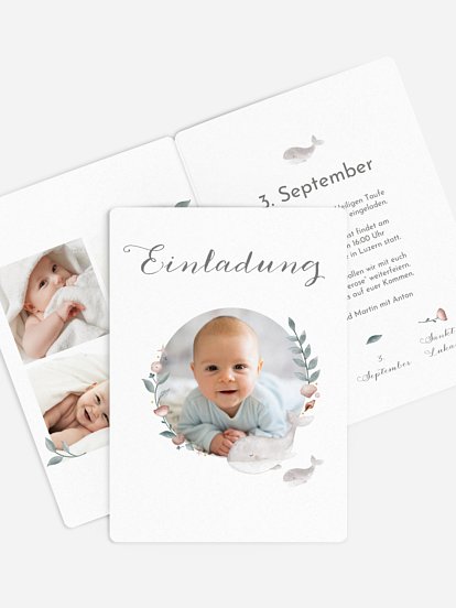 Walfamilie Walfamilie