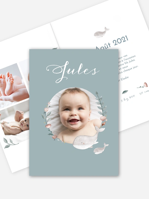 Jolies baleines