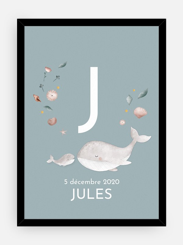 Jolies baleines