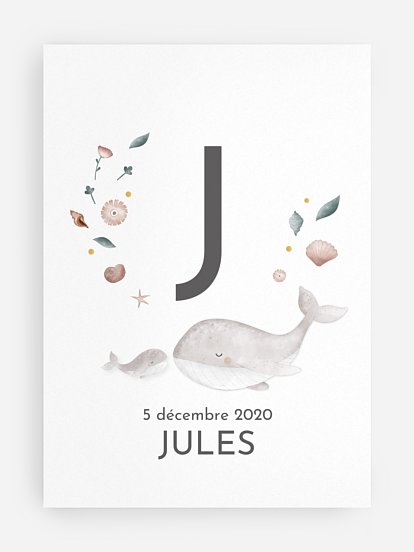 Jolies baleines Jolies baleines
