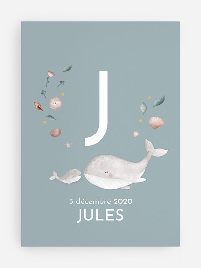 Jolies baleines Jolies baleines