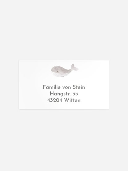 Walfamilie Walfamilie