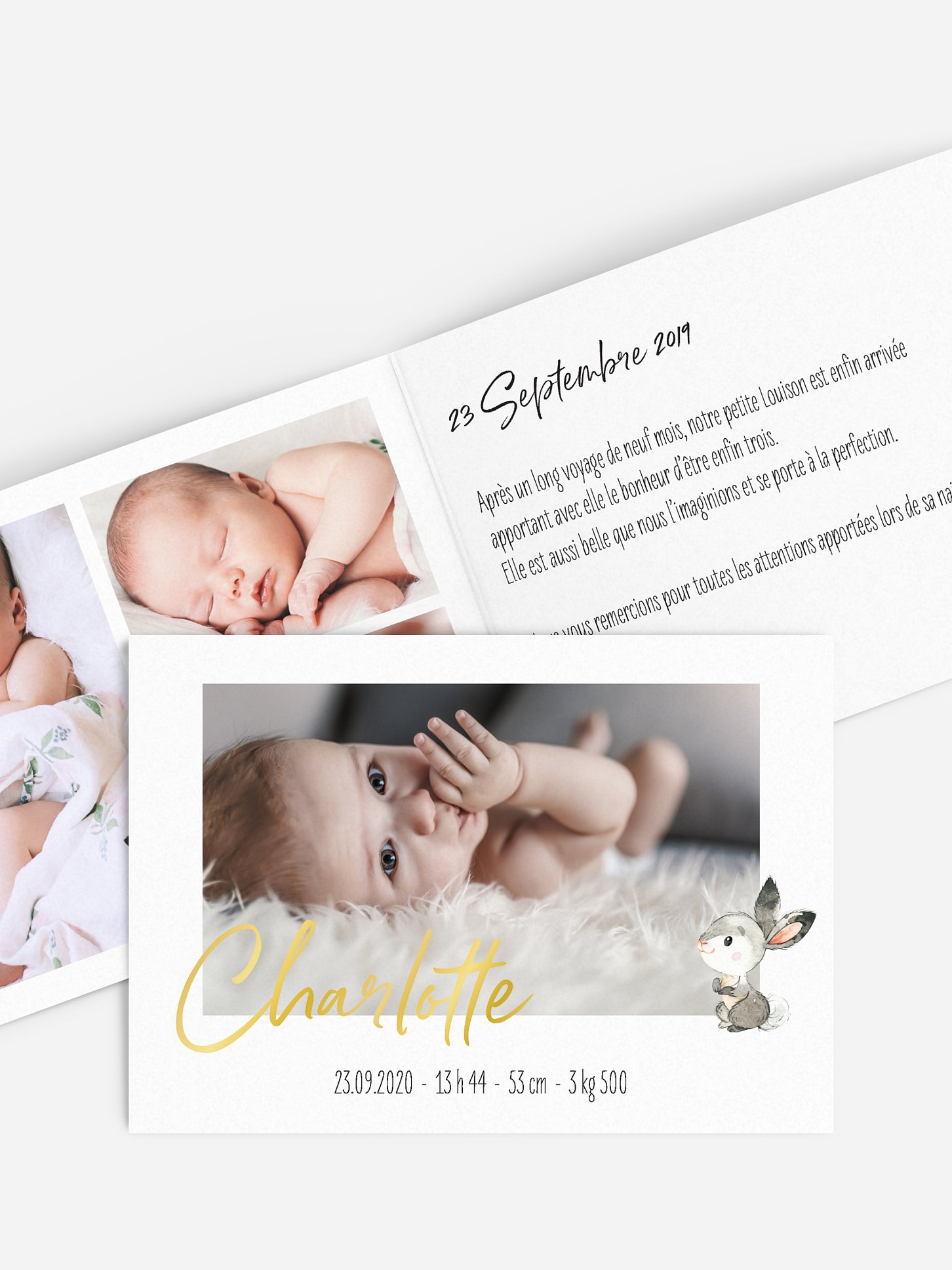 Faire-part naissance Bébés animaux