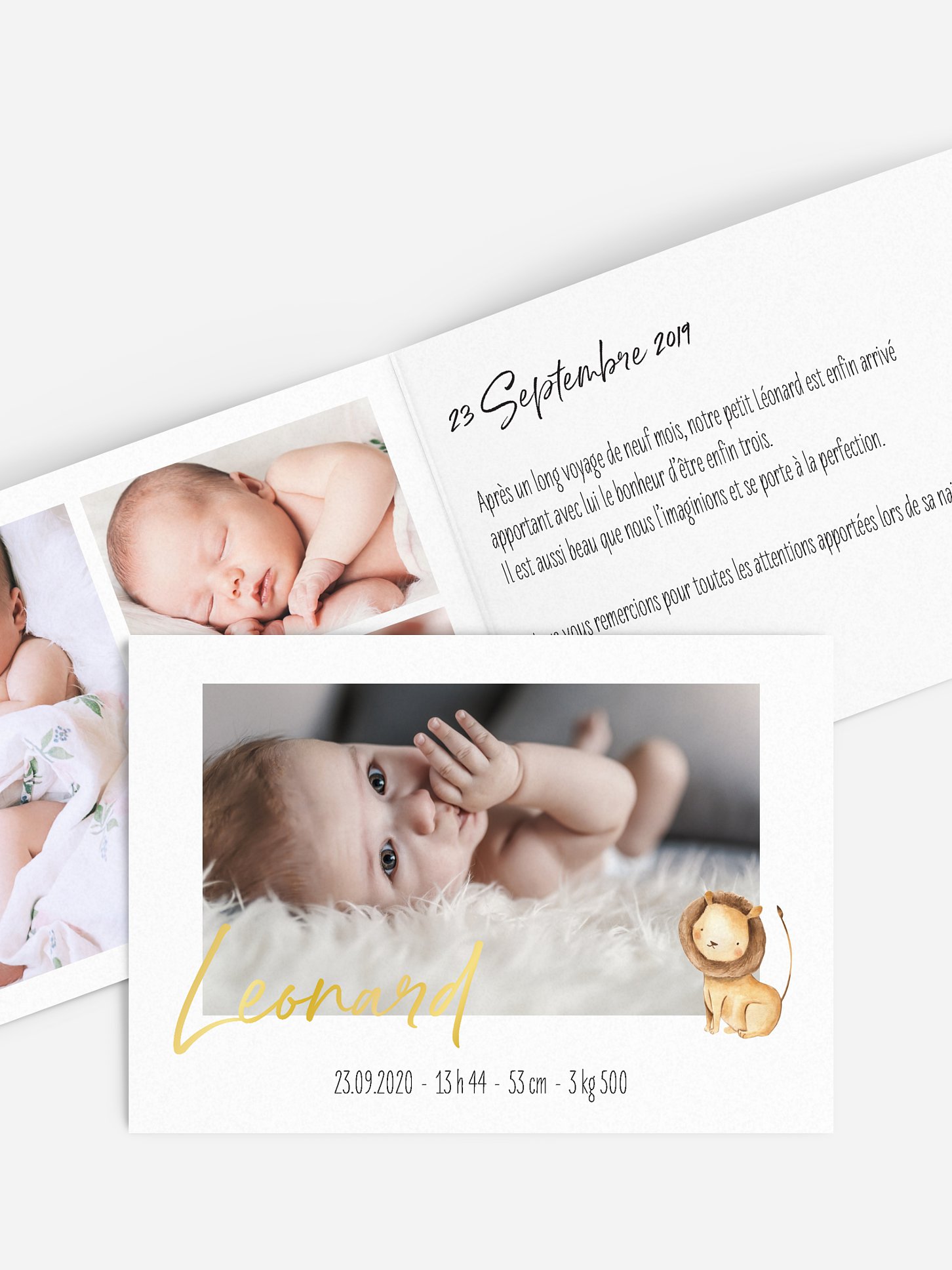 Faire-part naissance Bébés animaux