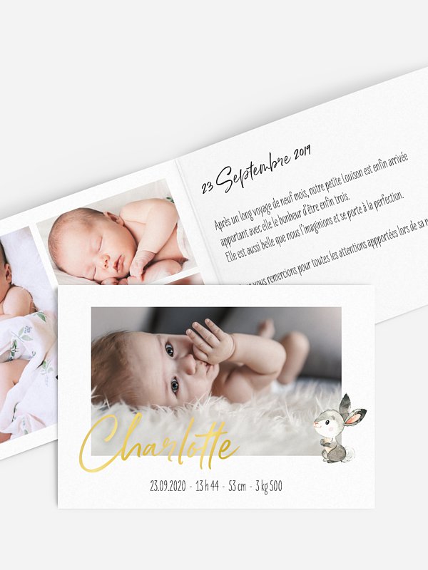 Bébés animaux